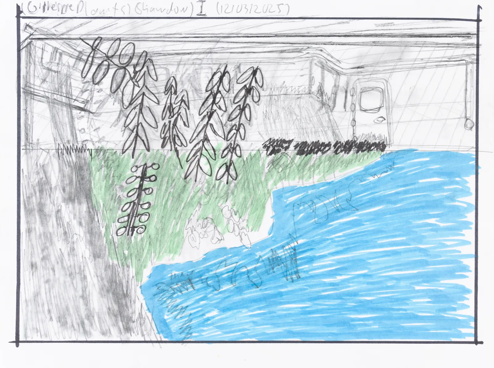 Khristian Gillespie, Gillespie Plants Shadow, 2025