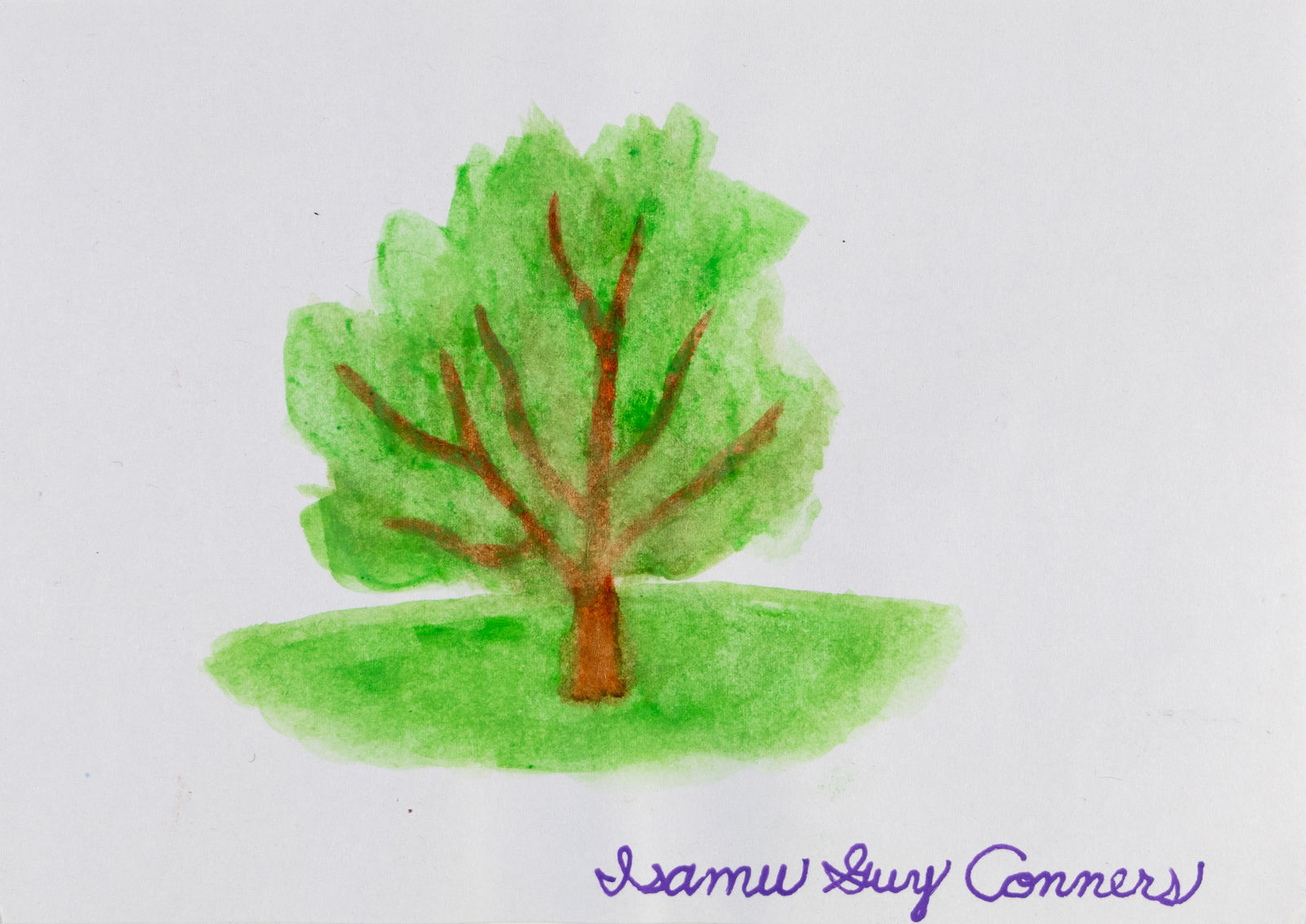 Isamu Guy Conners, Tree, 2020