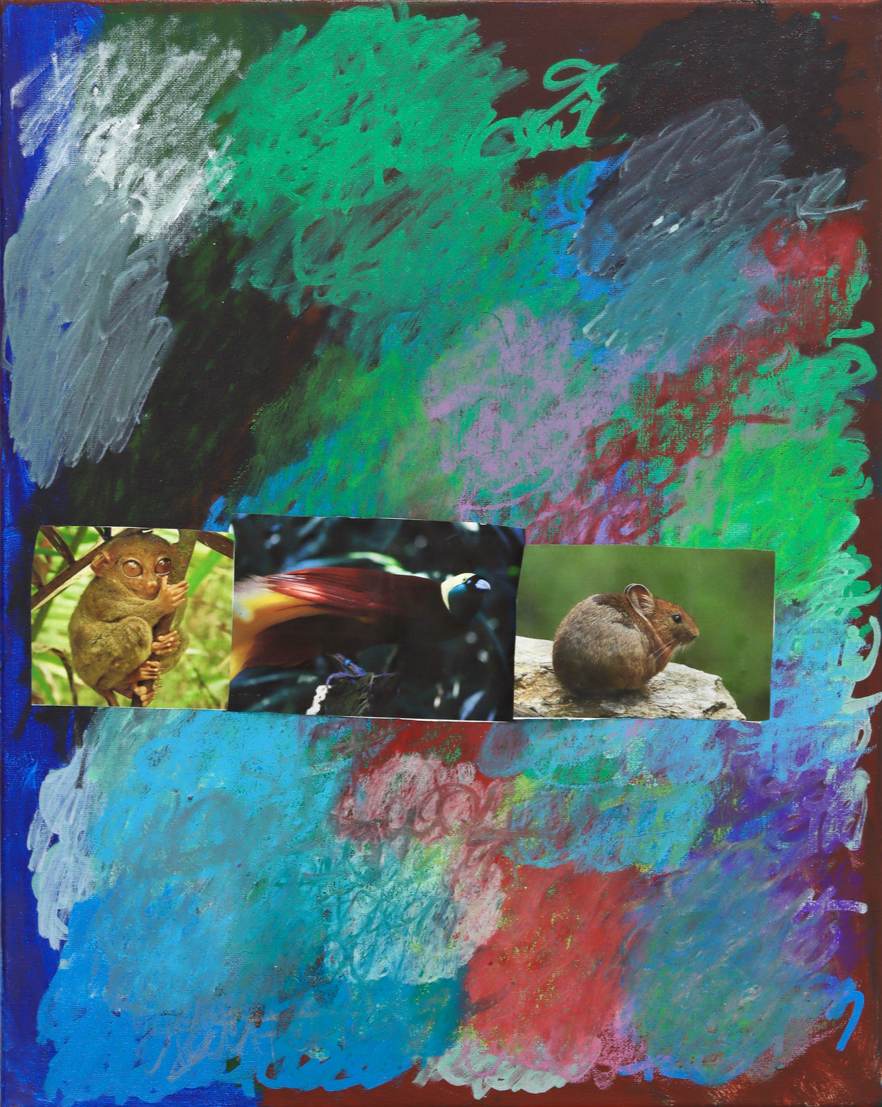 Lawrence M., Rainbow of Animals, 2023