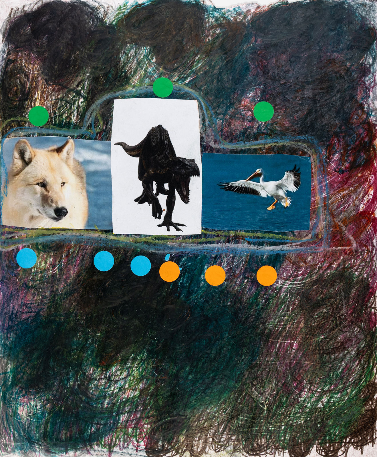 Lawrence M., American Pelican, 2025