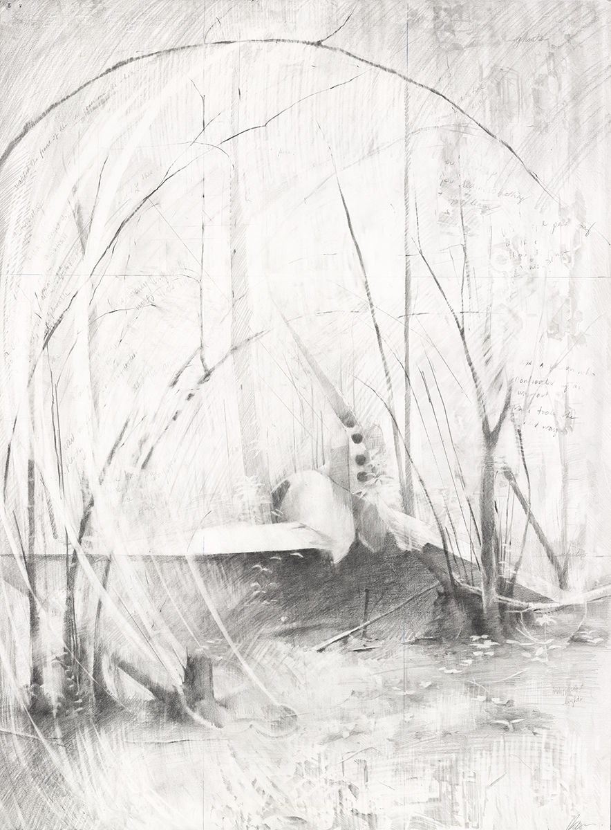 Rachel Wolfson Smith, Wilds, 2018