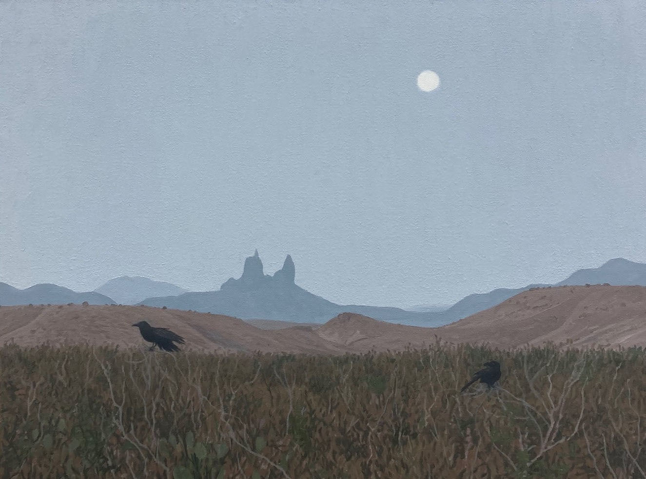 Dennis Blagg, Night Caws, 2024