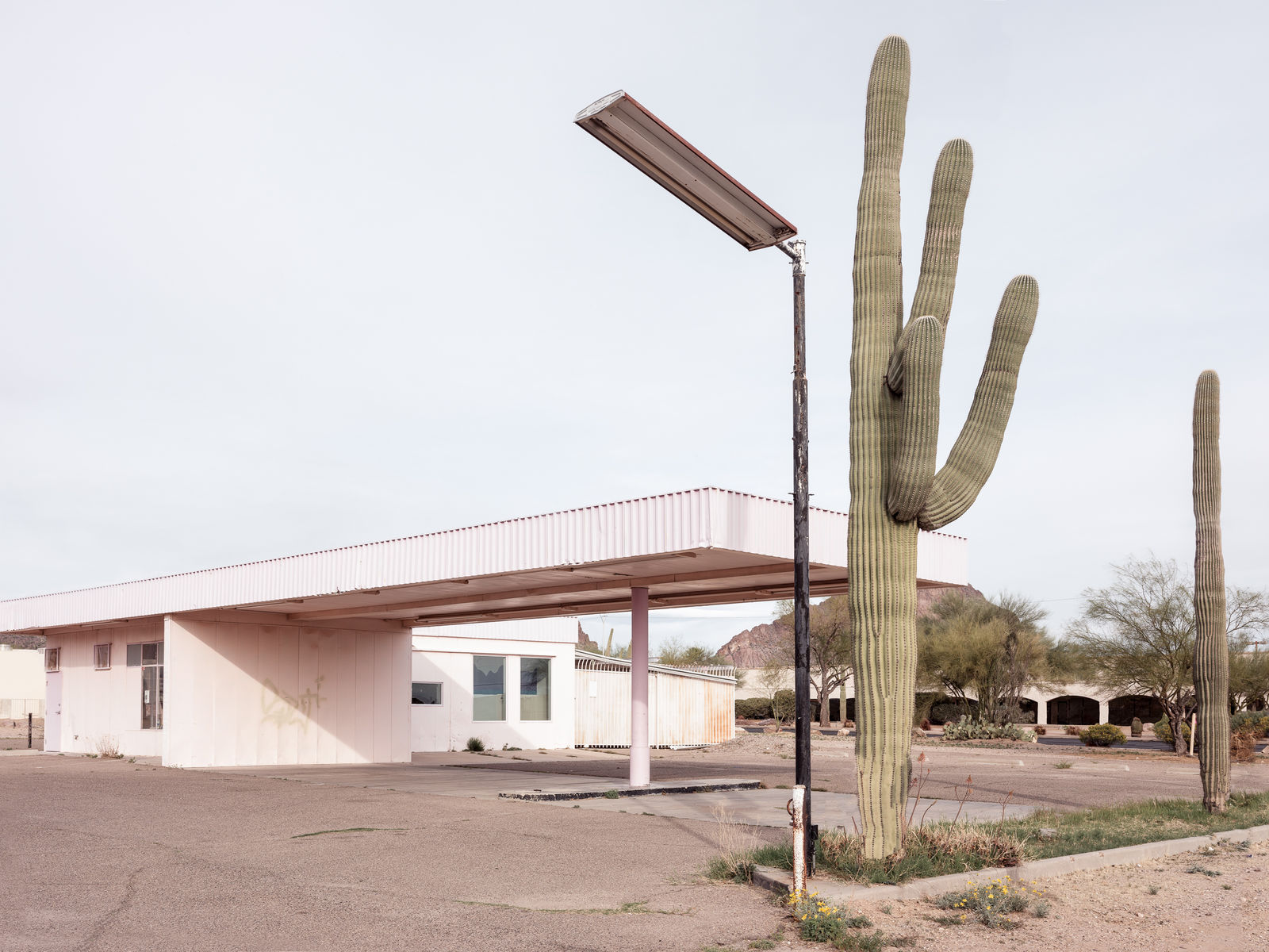 Kristin Kirkley, W Ajo Way, 2018
