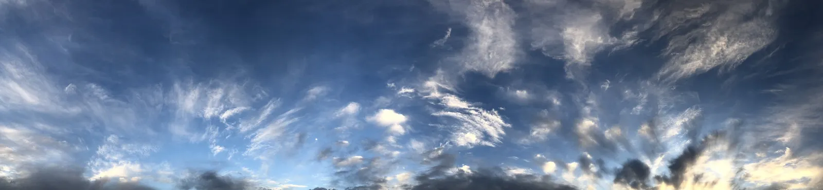 Martha Peters, 22.01.14.11, 2022