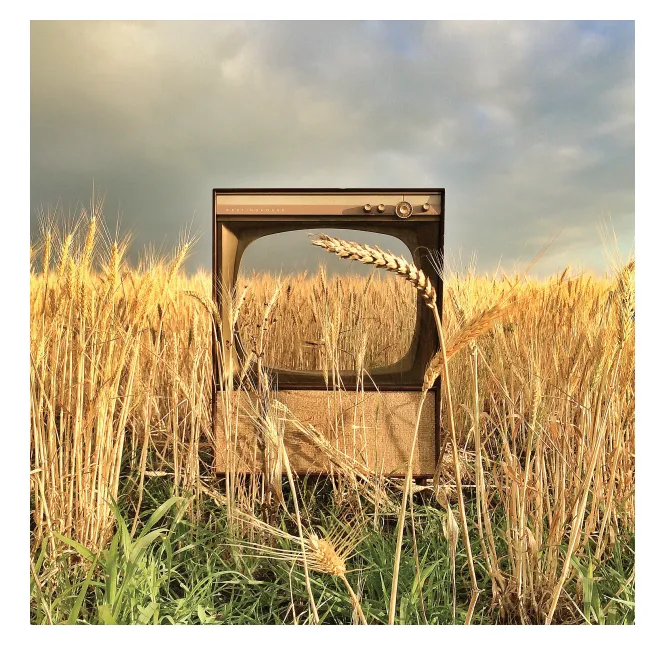 Jon Flaming, Texas TV, Wheat Field, Princeton, Texas 3/250