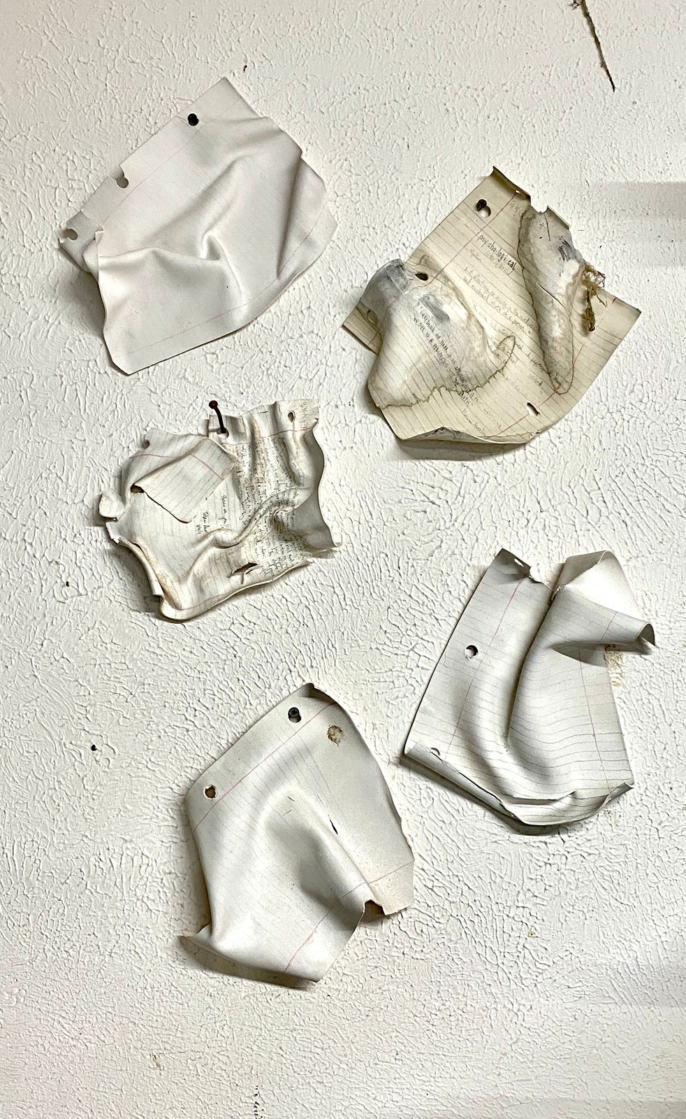 Tatara Siegel, Exposed Journal