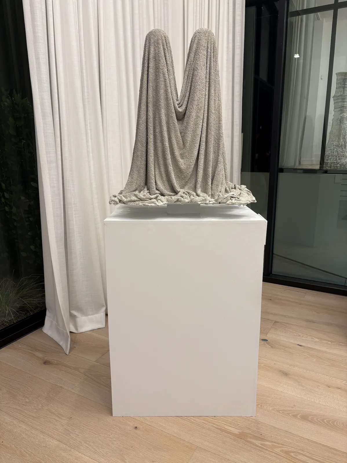 Steve Hash, To Be Confirmed, TBC