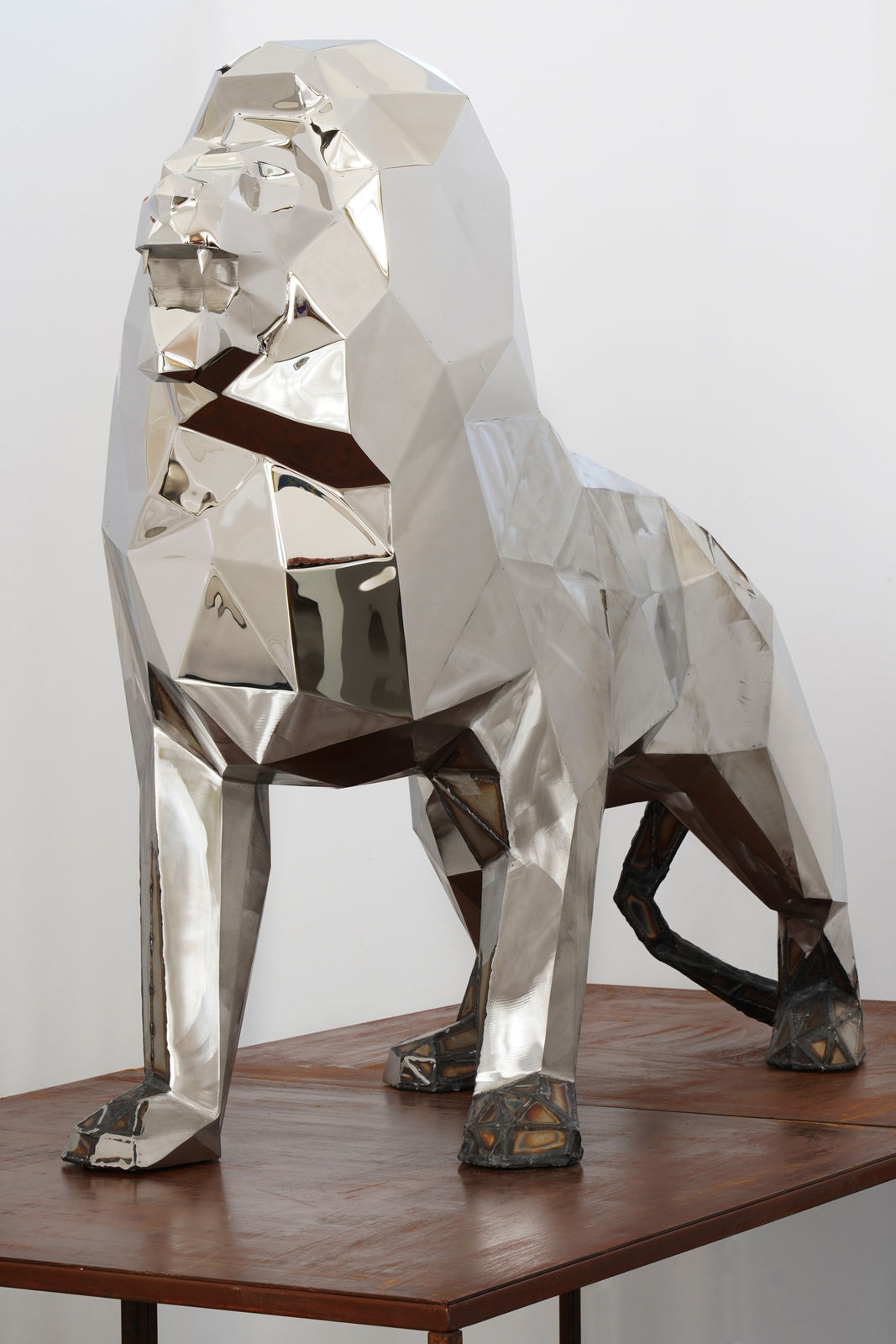 Daniele Basso, Hic Sunt Leones, 2020