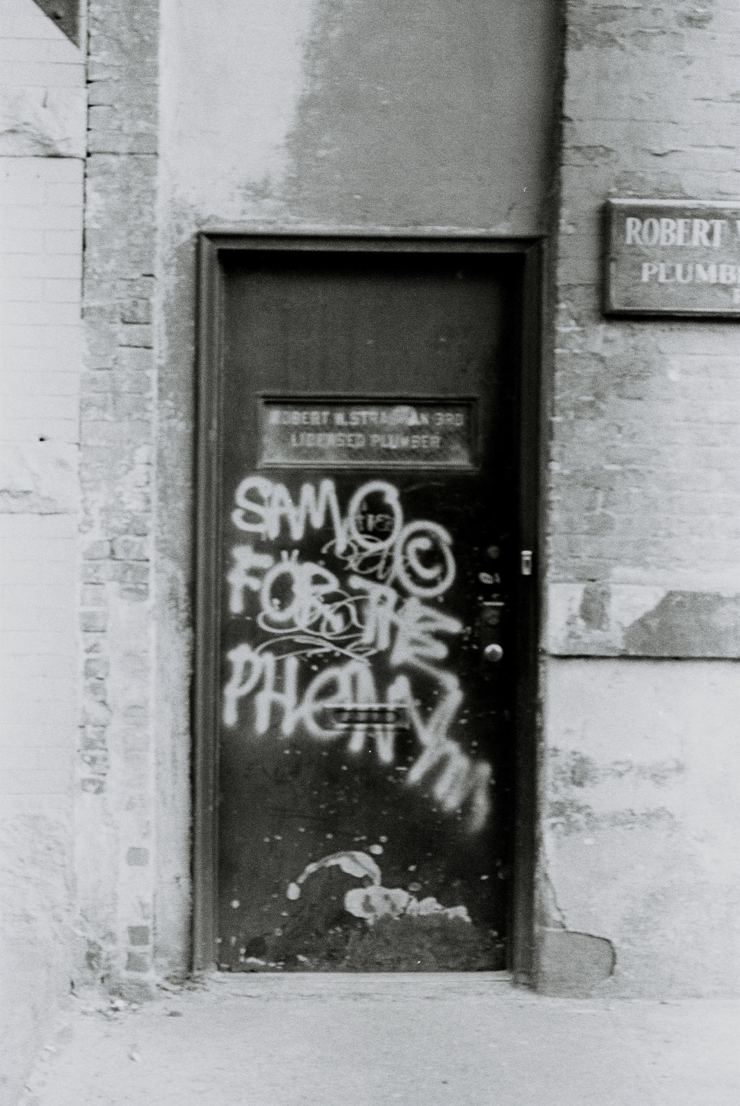 Vijya Kern, SAMO© for the phony, 2018