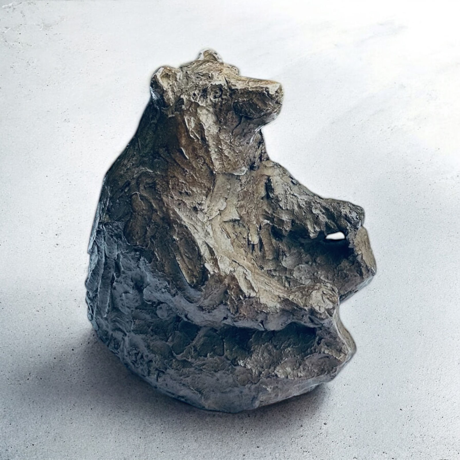 L’ours qui jouait avec ses pieds, sculpture animalière contemporaine par Bast, ours en bronze dans une posture ludique, œuvre expressive de collection à la surface texturée