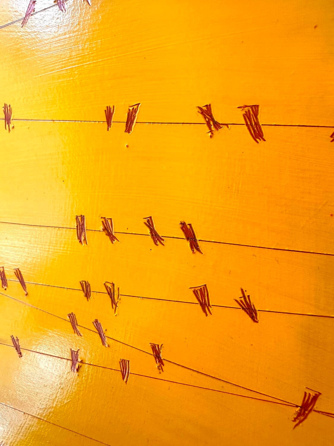 Olivier Messas, Une place au soleil, 2023