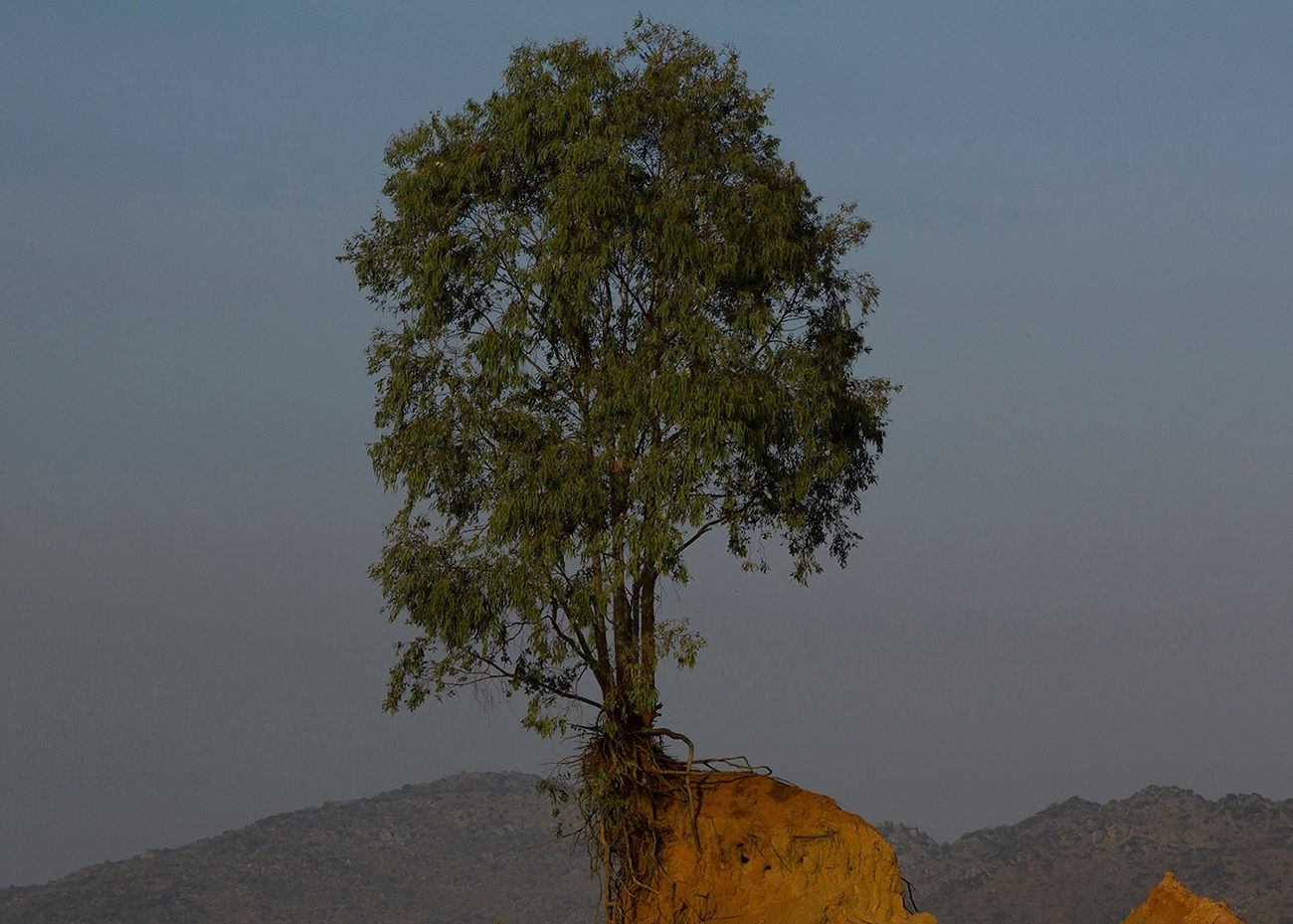Abraham Oghobase, Landscape #13, 2017