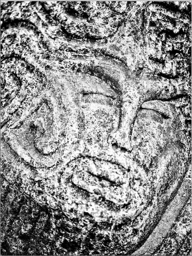 Namsa Leuba, Force from the series "illusion" made in Tahiti , 2019