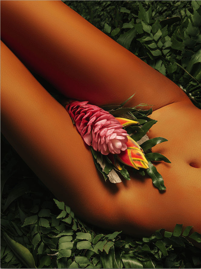 Namsa Leuba, La Fleur from the series "illusion" made in Tahiti , 2019