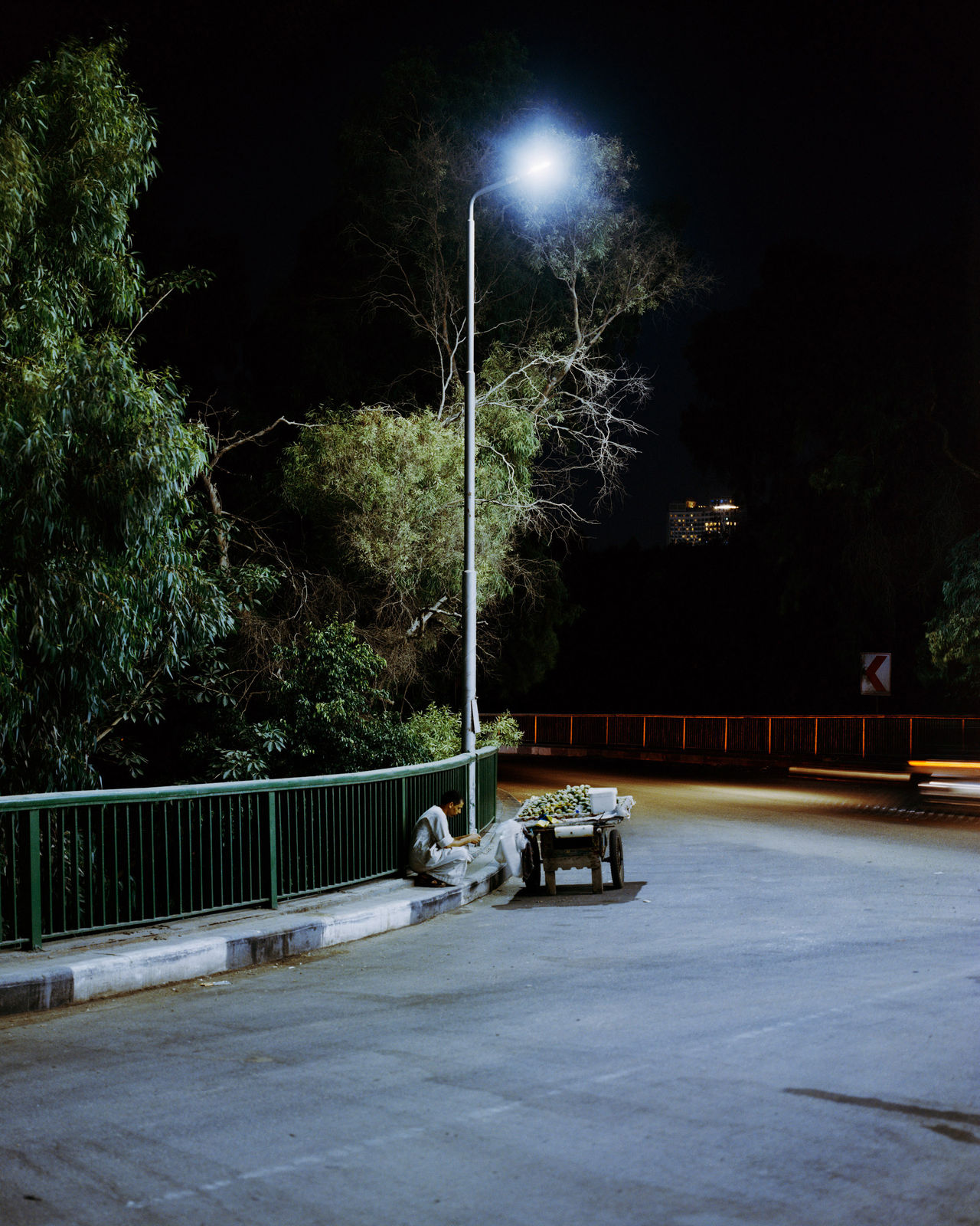 Pedro Barbáchano, Kobri, 2019