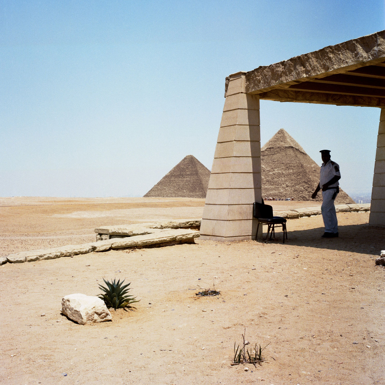 Pedro Barbáchano, Watcher, 2019