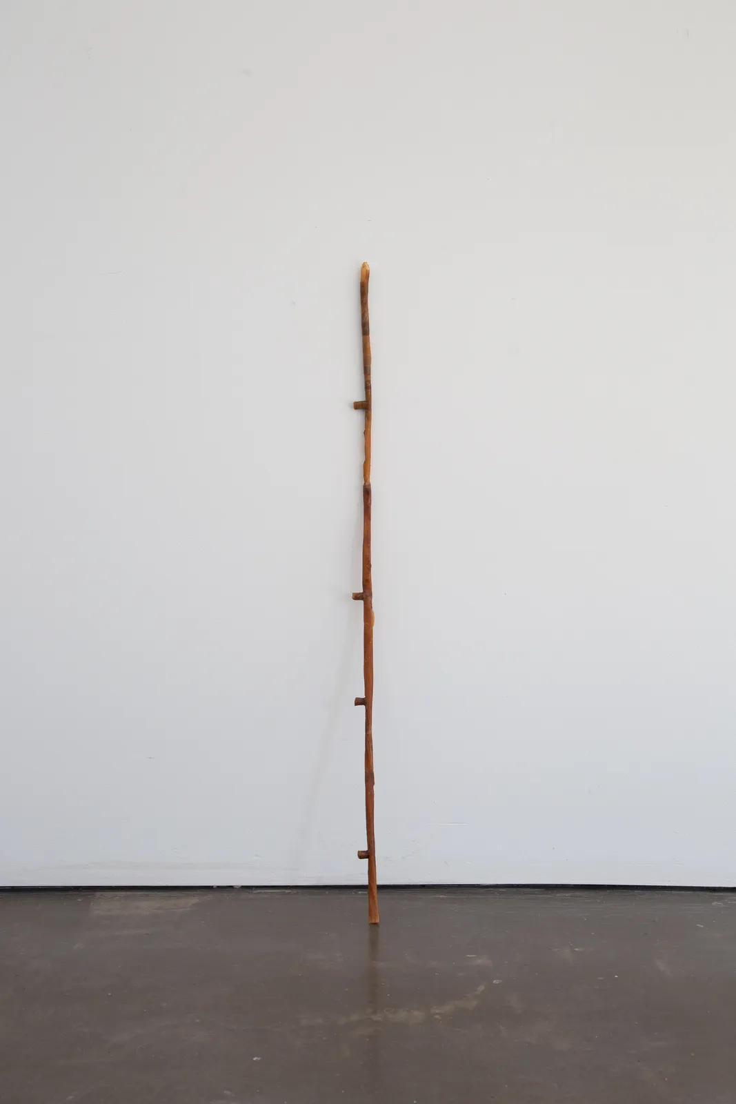 Lucy Gill, Harrows II (Fruit), 2025