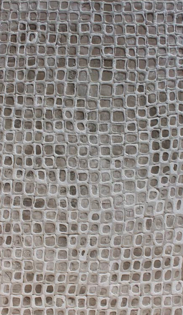 Adalina Coromines, XARXA, 2016