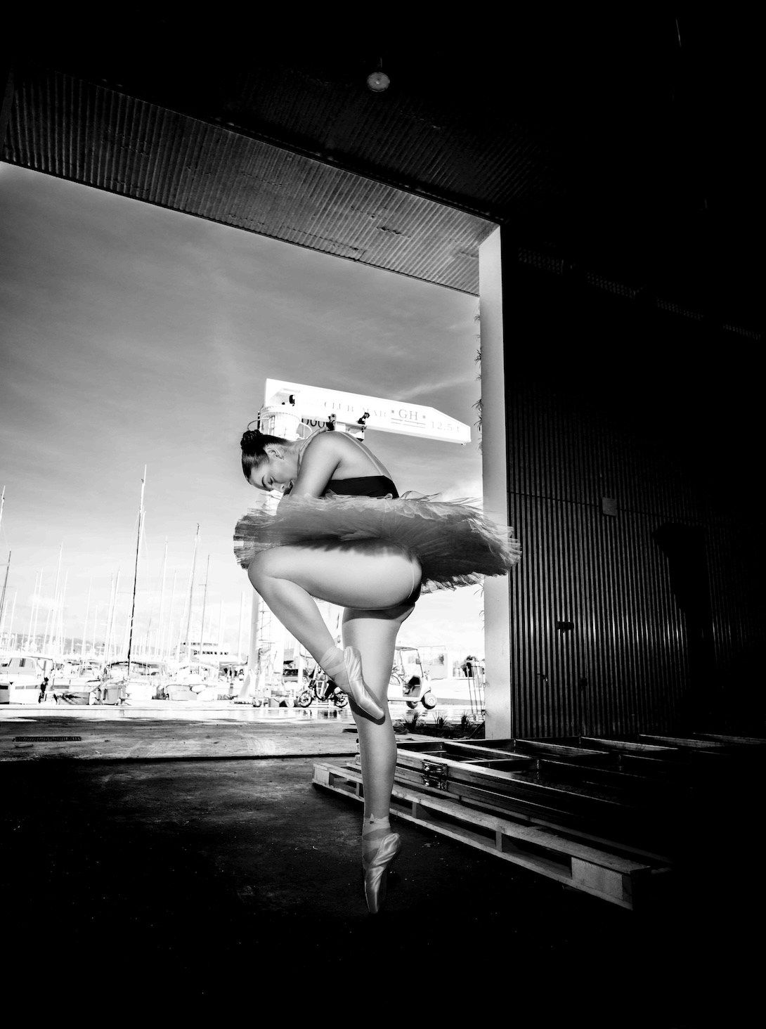 Leonardo Cóndor, EXCLUSIVE PREVIEW , 2025