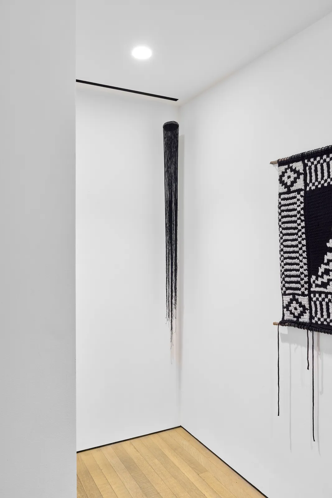 Устина Яковлева | Ustina Yakovleva, Моллюск | Mollusk, 2025