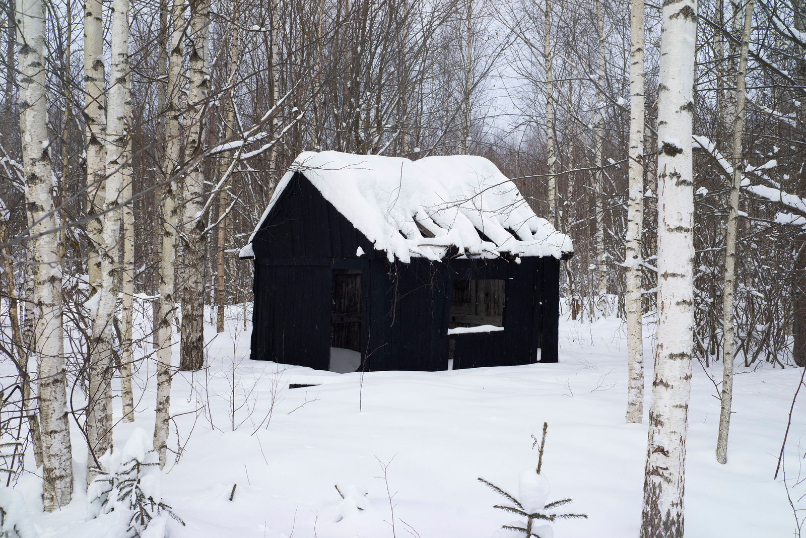 Vladimir Chernyshev, Vortex, 2020