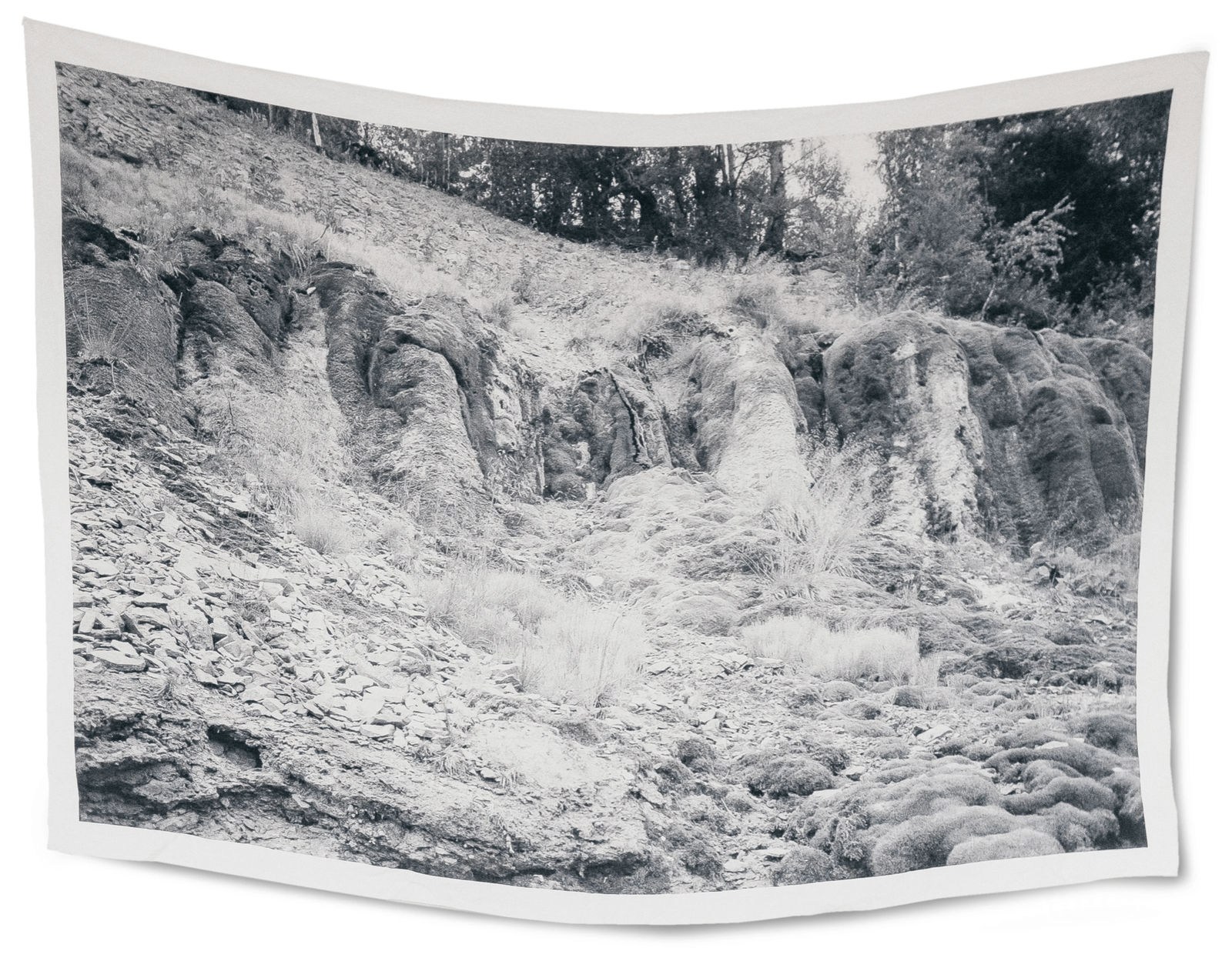 Ustina Yakovleva, Untitled, 2020