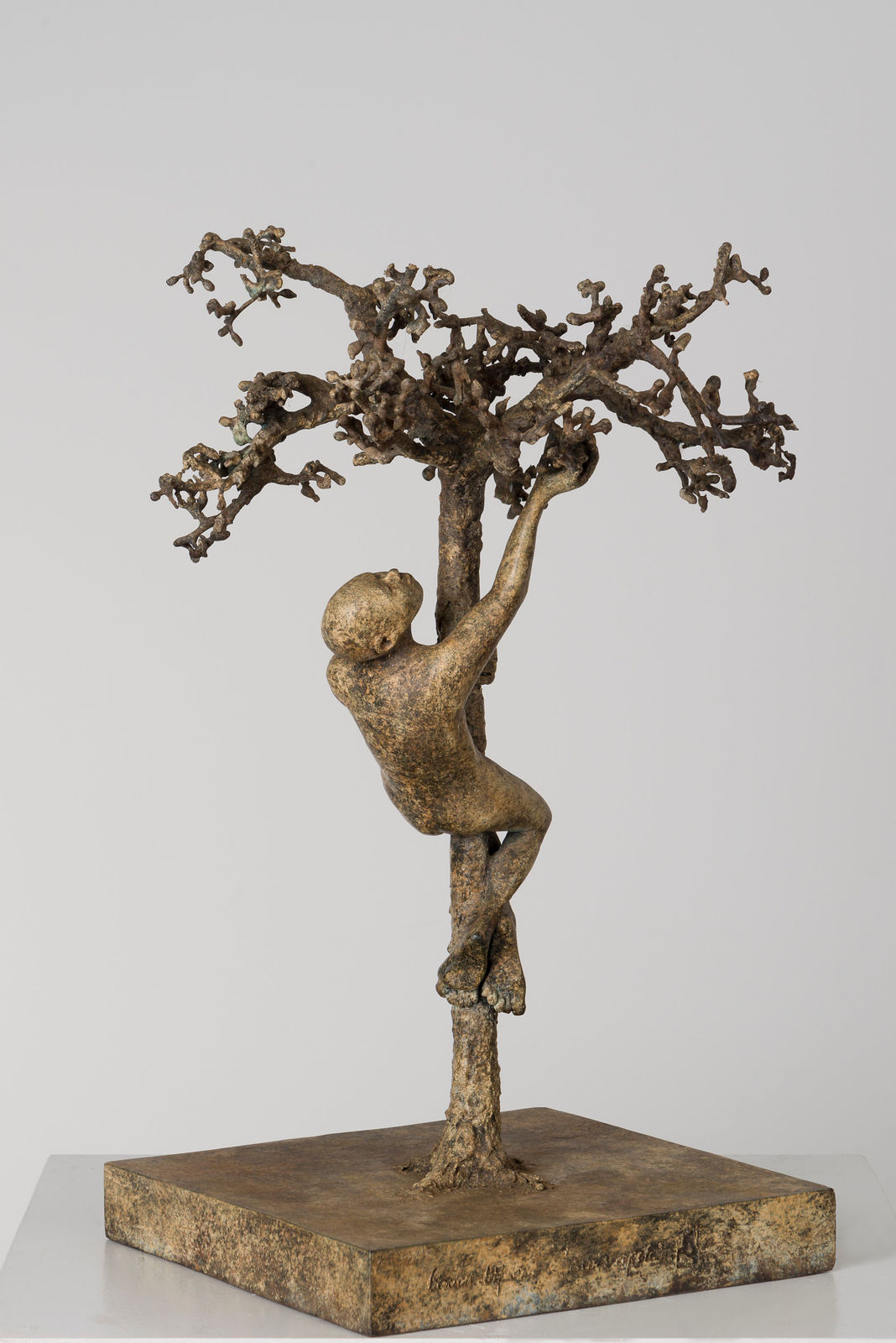 Eva's apple lieven d'haese sculpture en bronze contemporaine sculpture d'arbre sculpture de jardin art design de jardin Art Yi enfant sculpture rêve d'enfance galerie d'art à bruxelles