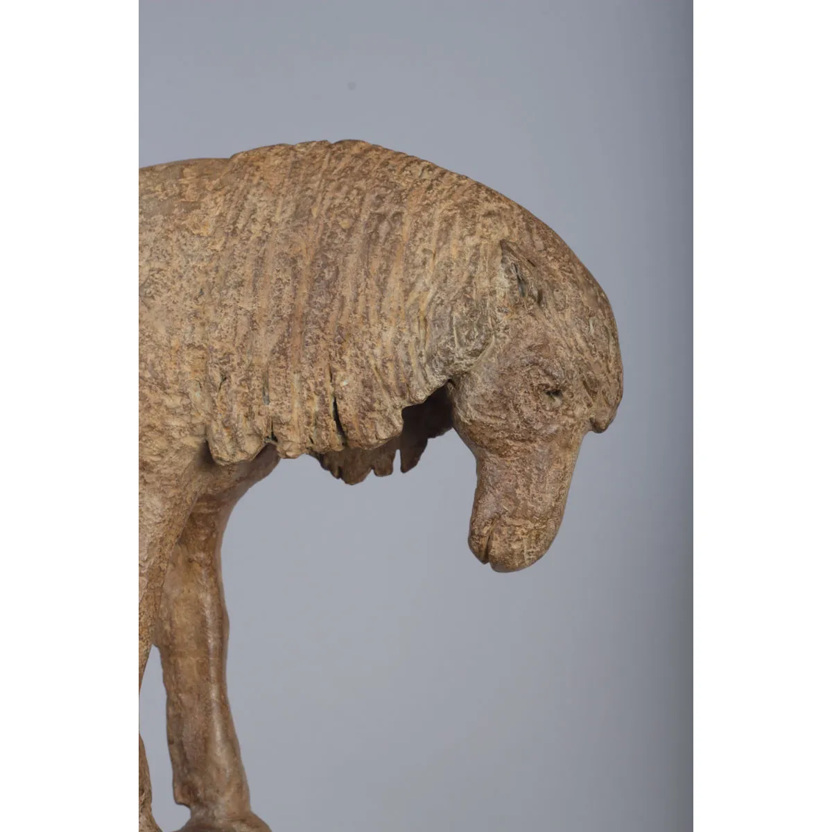 the dressage cute child and adorable animal contemporary bronze horse sculpture sophie verger