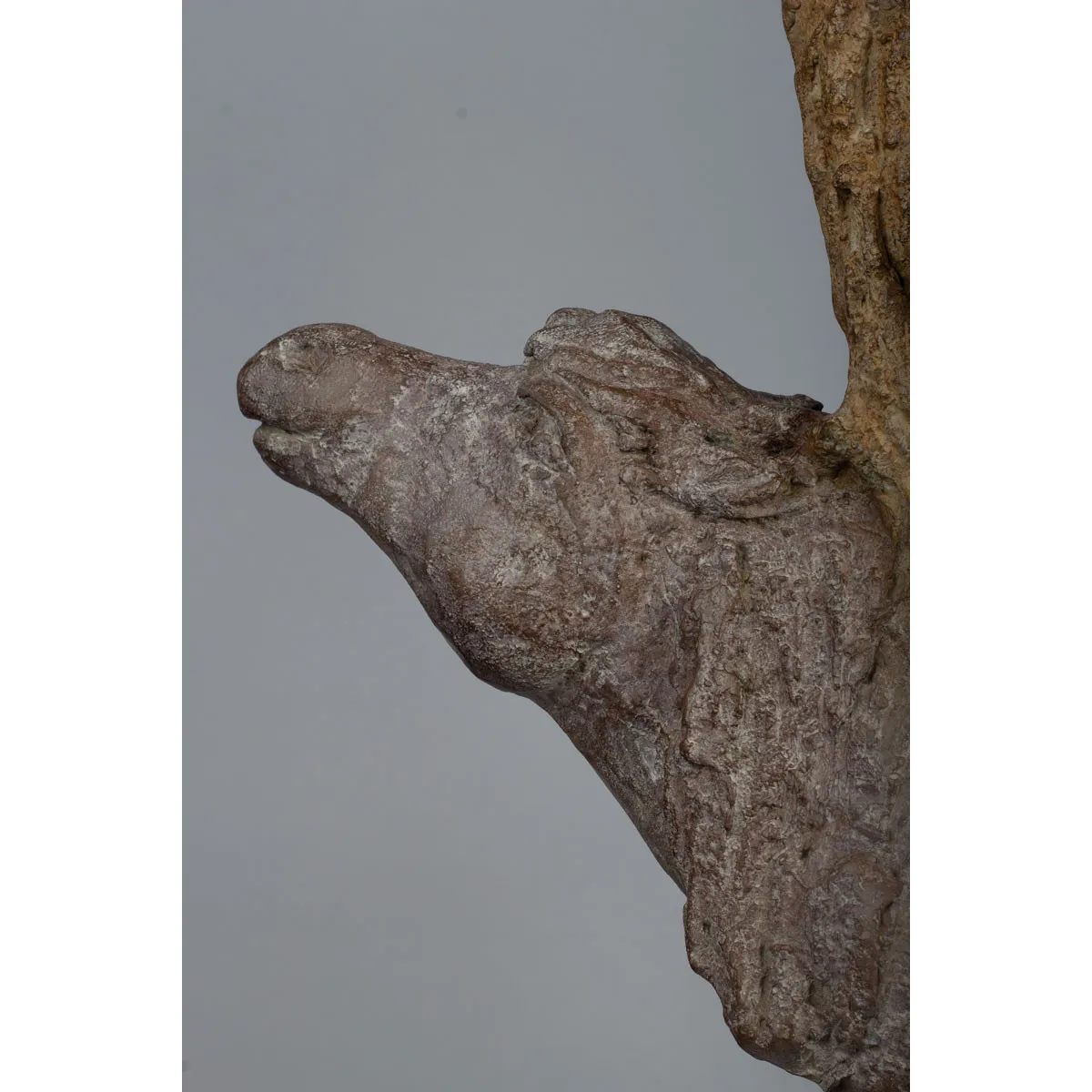 Dressuur, schattig kind en lief dier, hedendaagse bronzen paardensculptuur van Sophie Verger