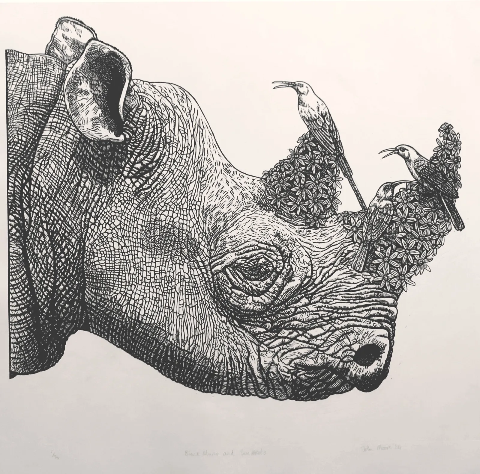 John Moore, Black Rhino and Sun Birds, 2024