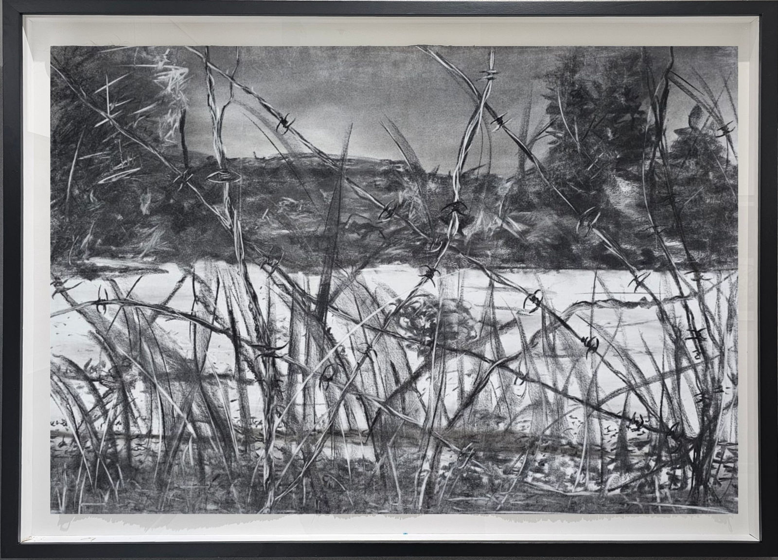 Fumani Maluleke, Masimu ya Kaya, 2017