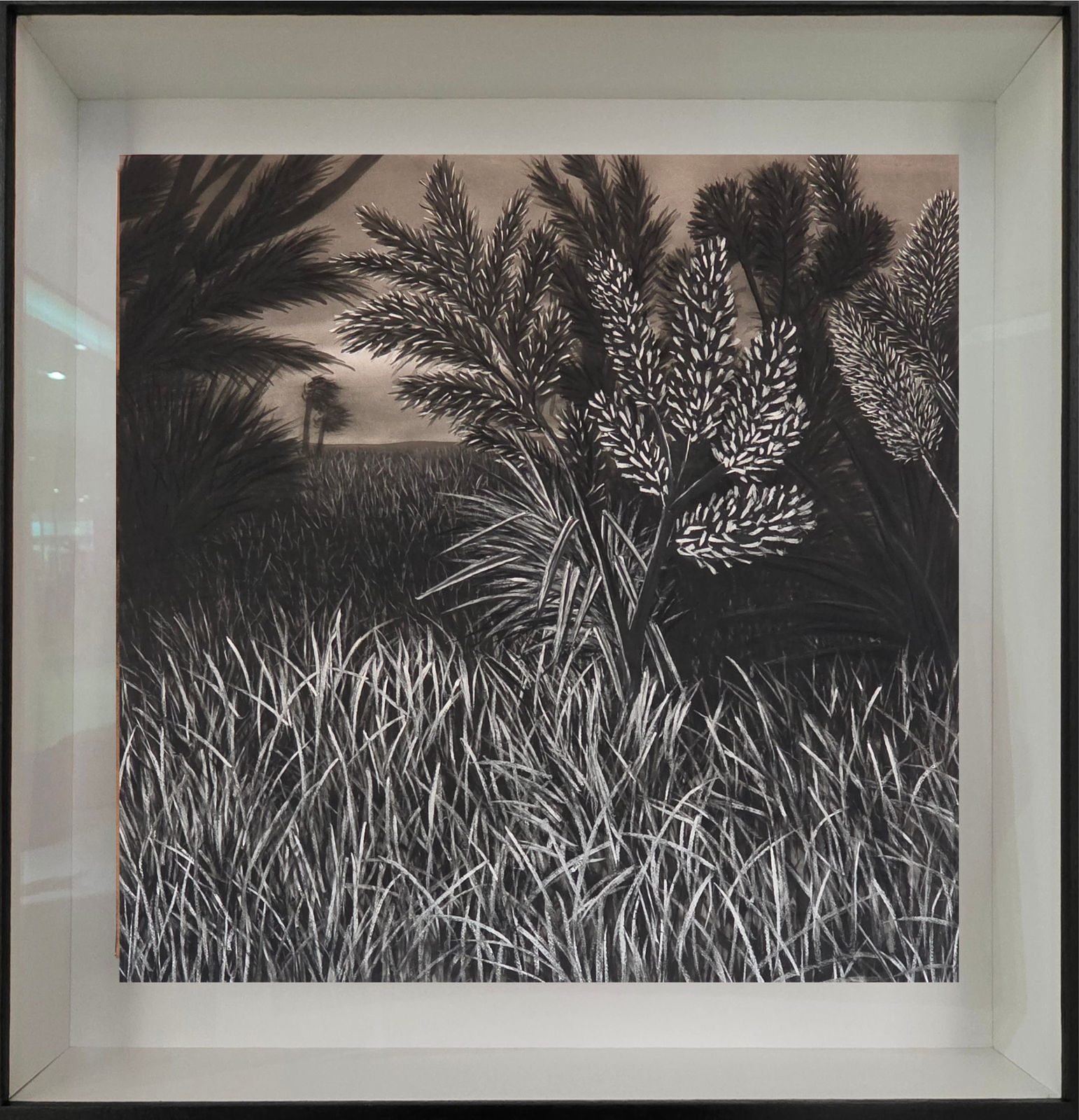 Frans Thoka, Ledima, 2025