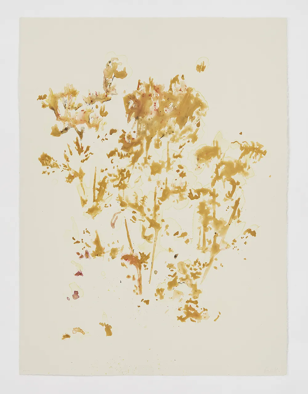 Bevan de Wet, Untitled II (watercolour mono), 2018