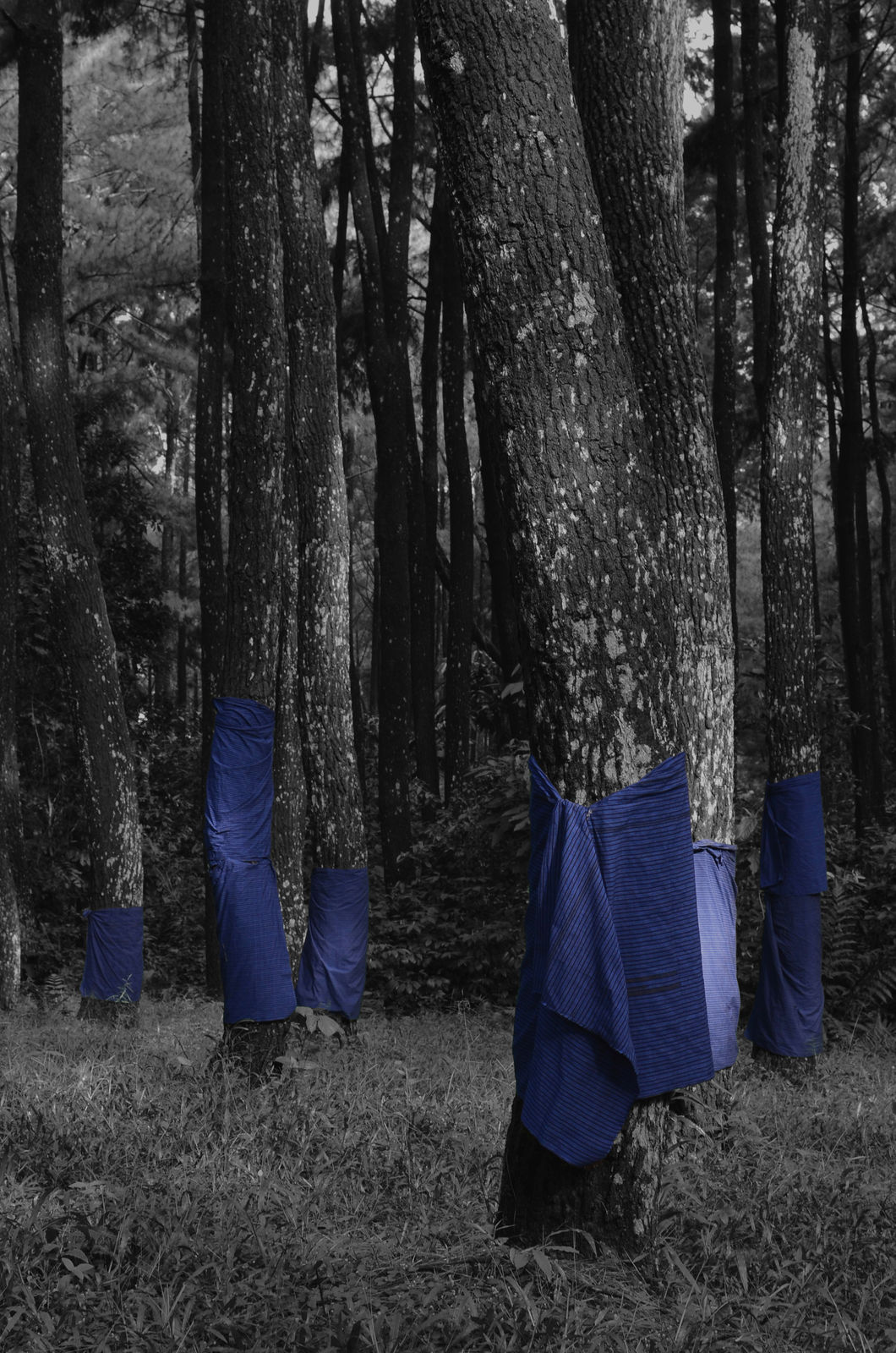 Alexander Sebastianus, Utan #16 (Ilford), 2021