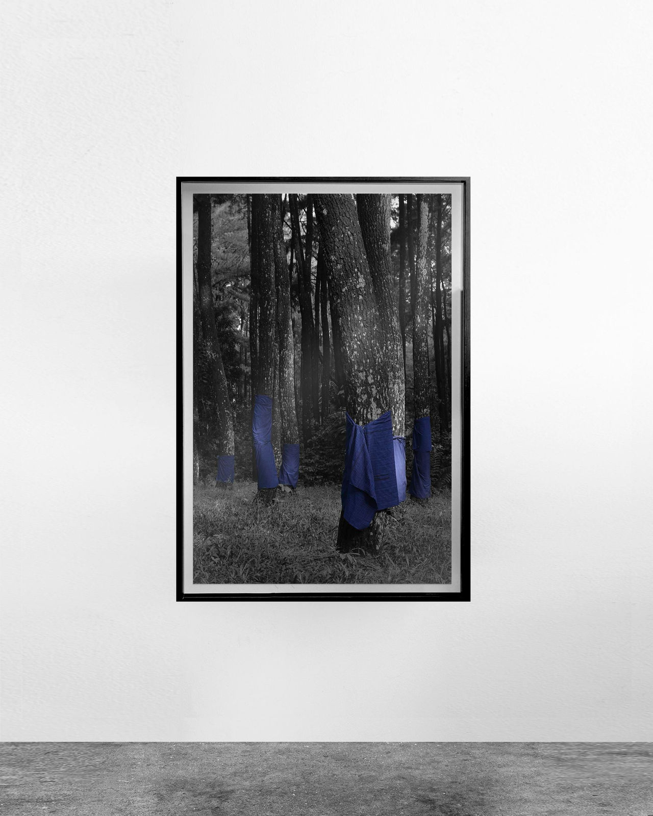 Alexander Sebastianus, Utan #16 (Ilford), 2021