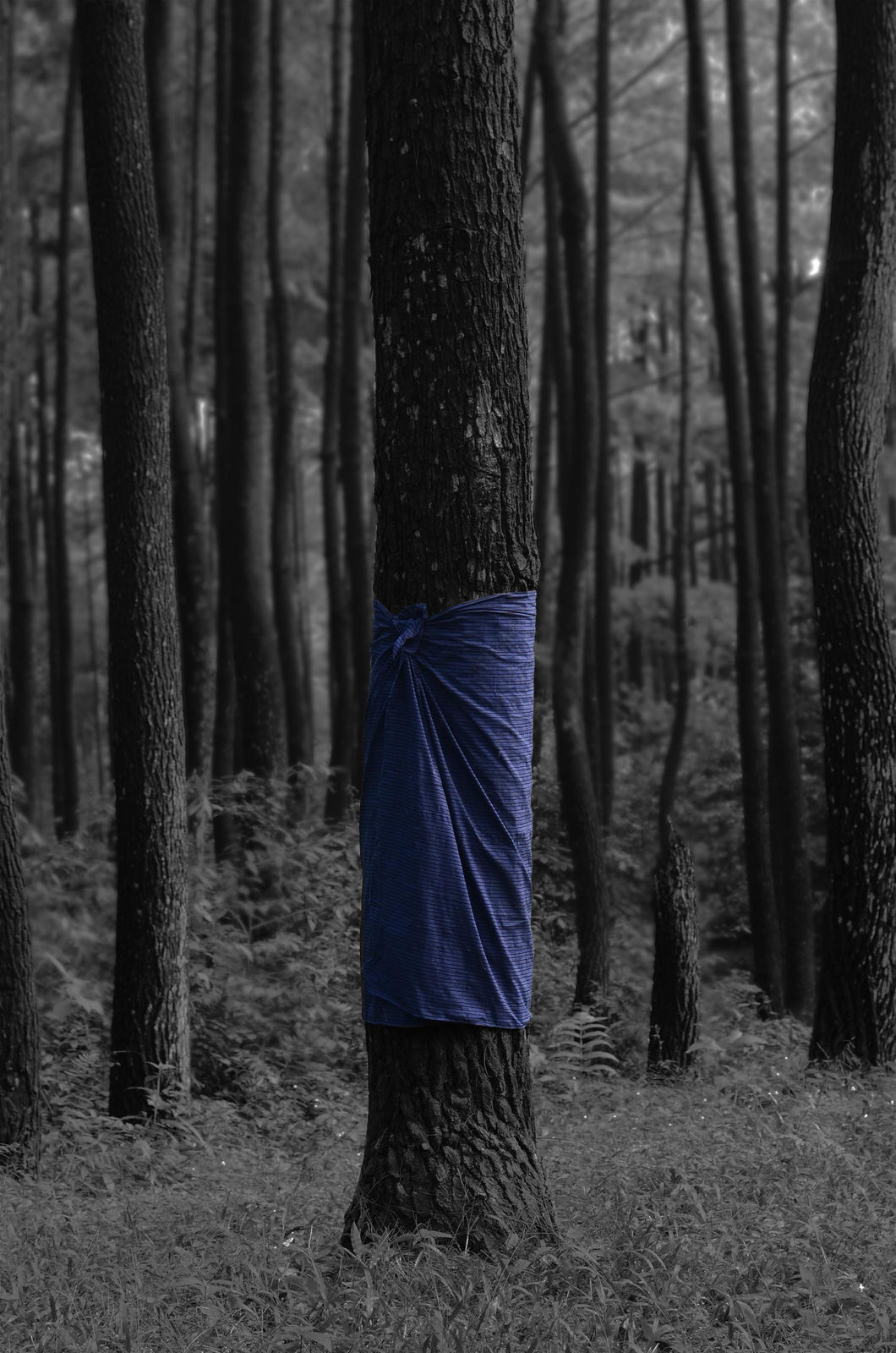 Alexander Sebastianus, Utan #1 (Ilford), 2021