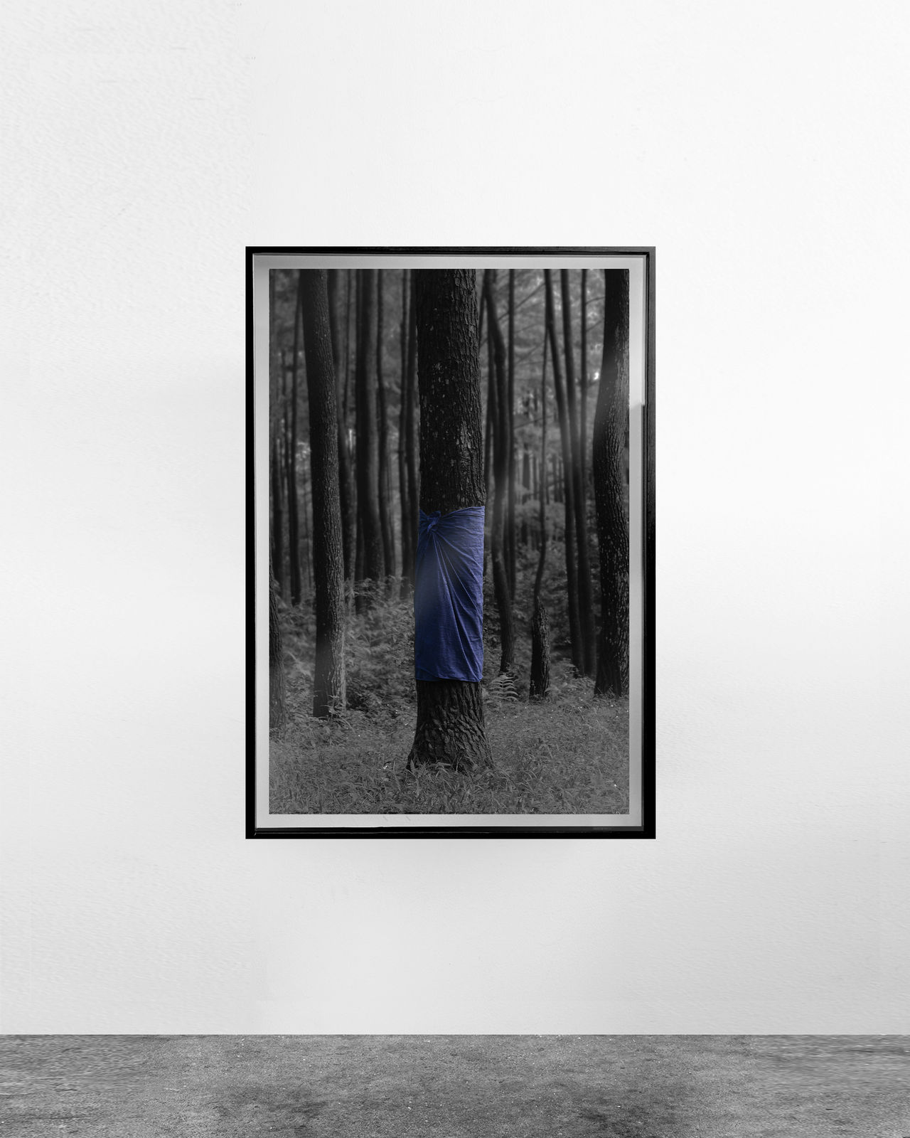 Alexander Sebastianus, Utan #1 (Ilford), 2021