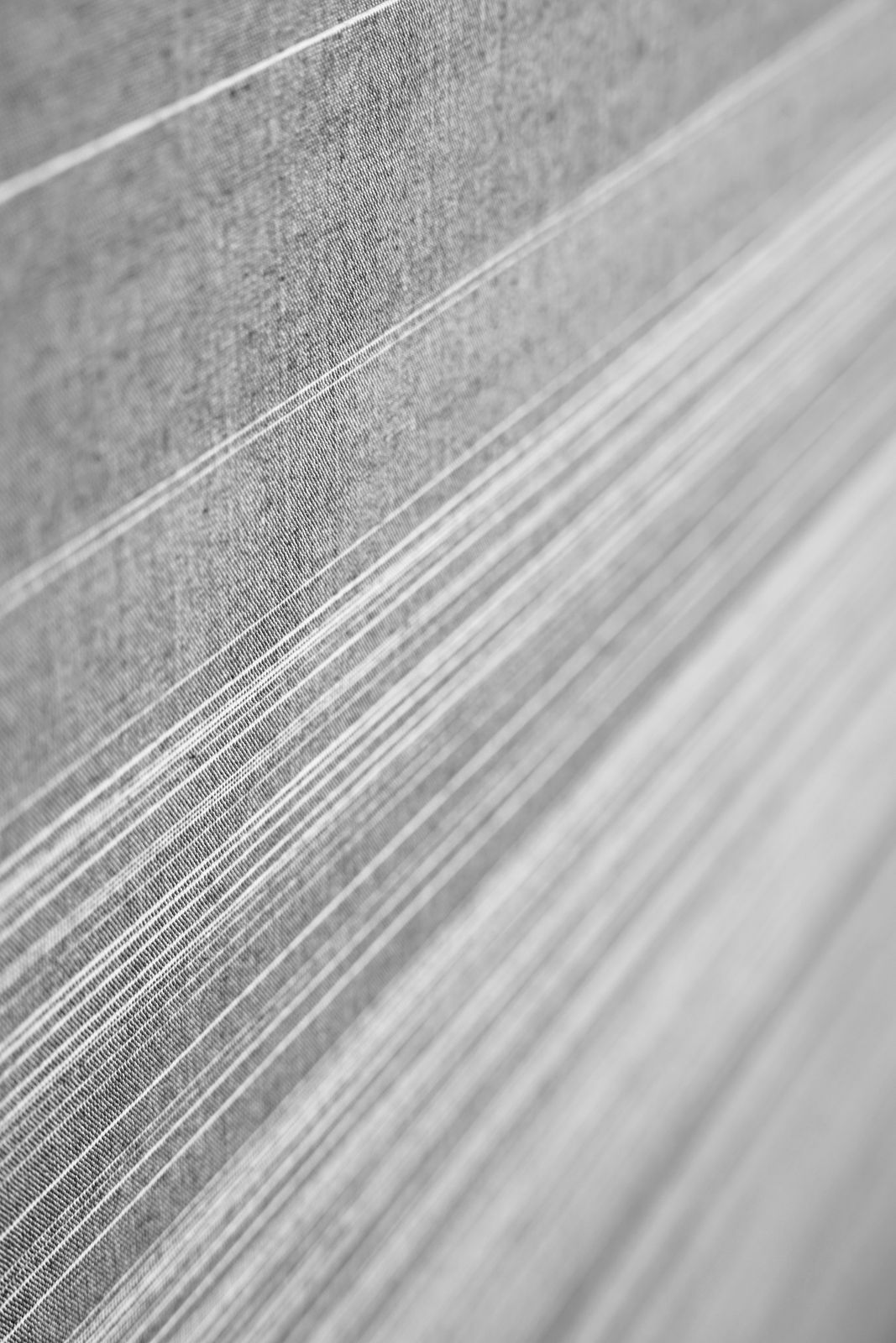 Alexander Sebastianus, Kala #07, 2021