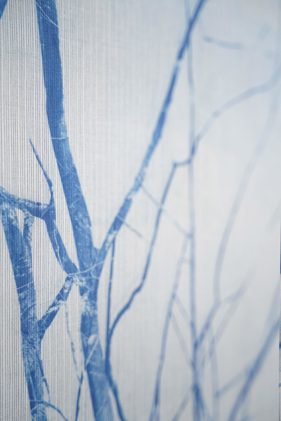 Alexander Sebastianus, Bertumbuh Tanpa Arus I, 2021