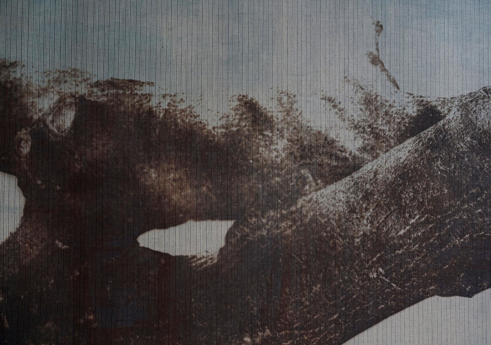 Alexander Sebastianus, Bertumbuh Nyatu, 2021