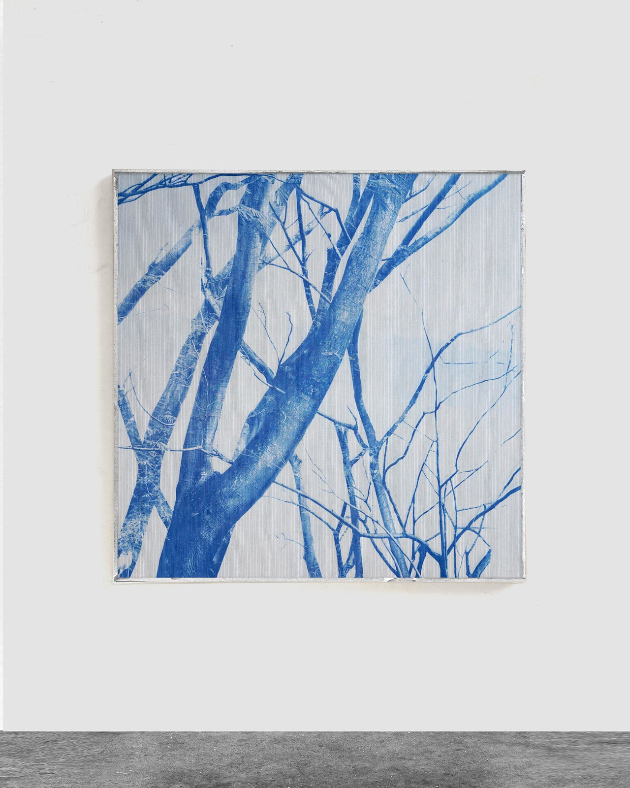 Alexander Sebastianus, Bertumbuh Tanpa Arus I, 2021