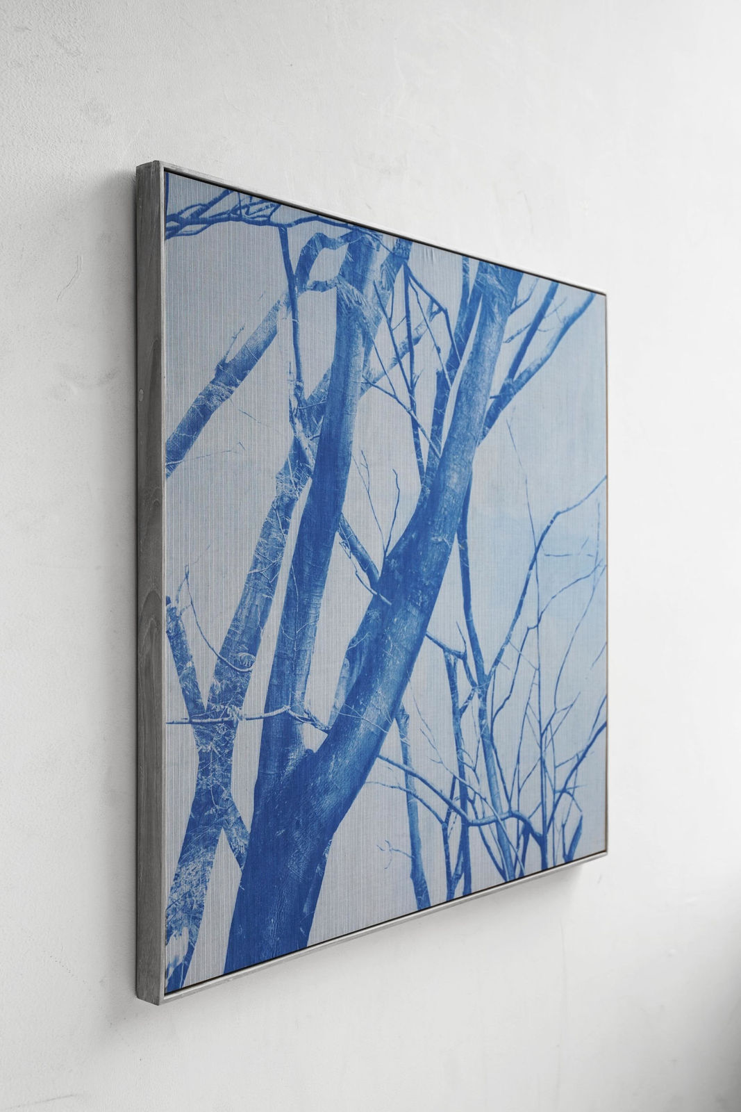 Alexander Sebastianus, Bertumbuh Tanpa Arus I, 2021