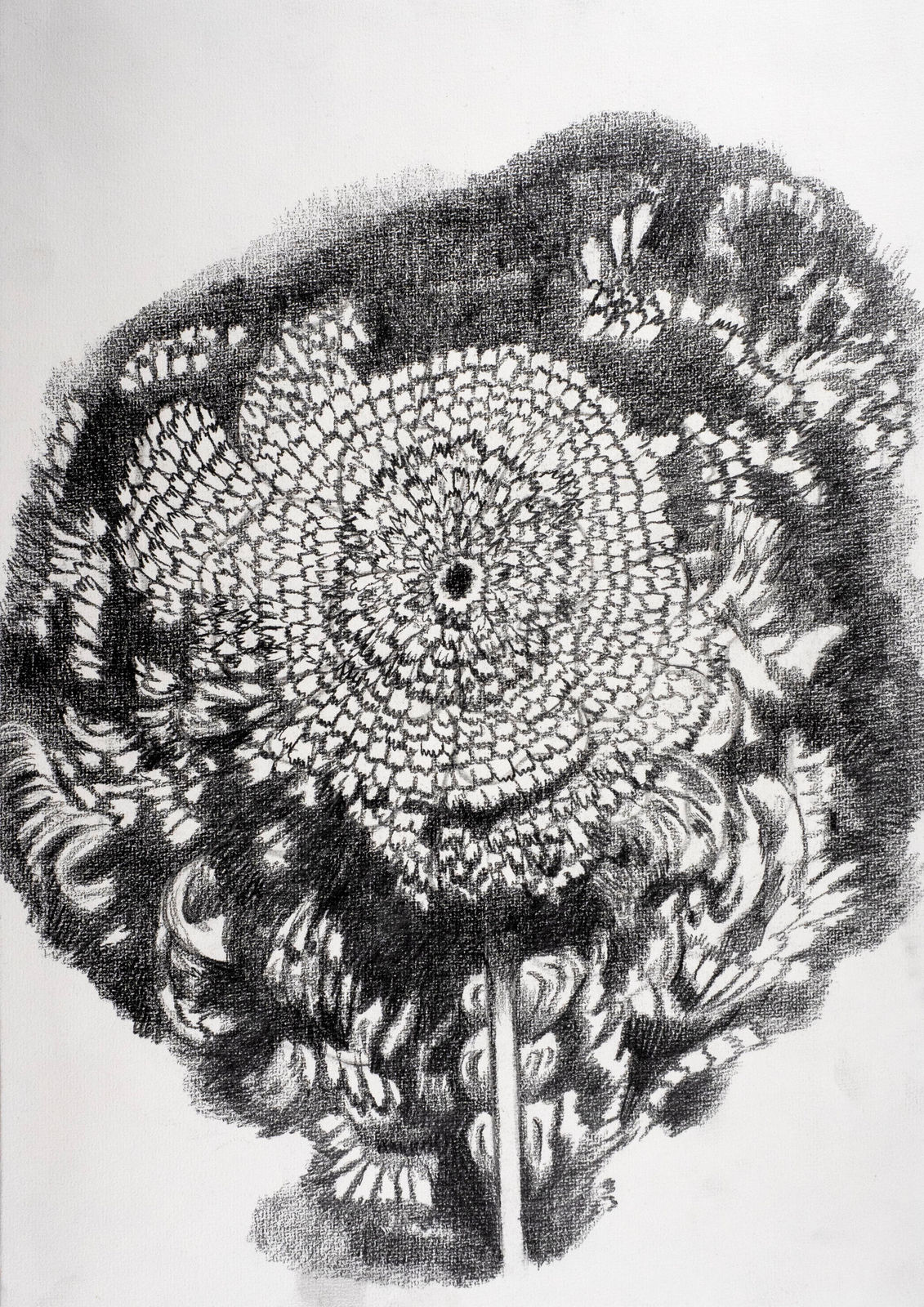 Luís Silveirinha, Desert #4