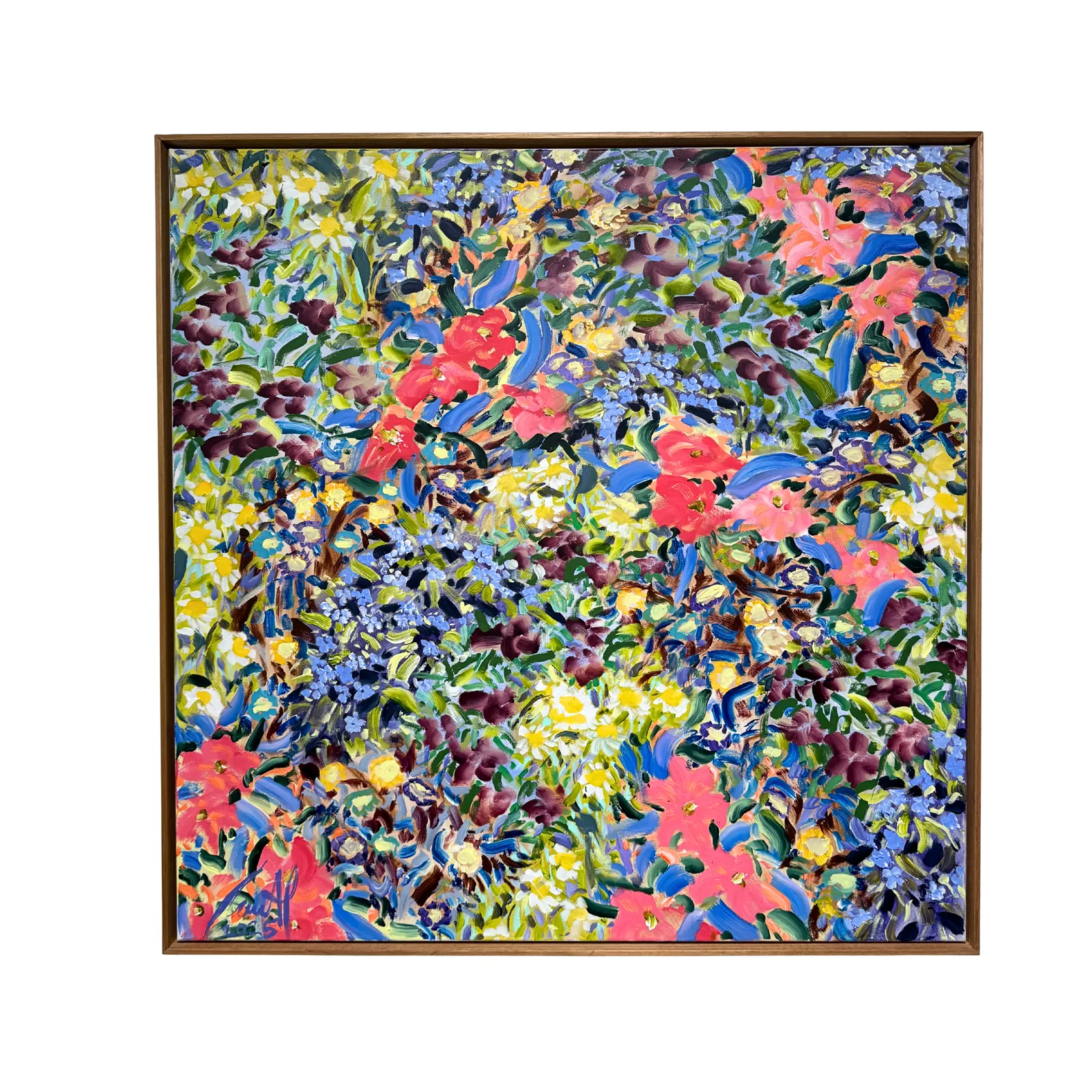 Carmel Van Der Hoeven, 2025