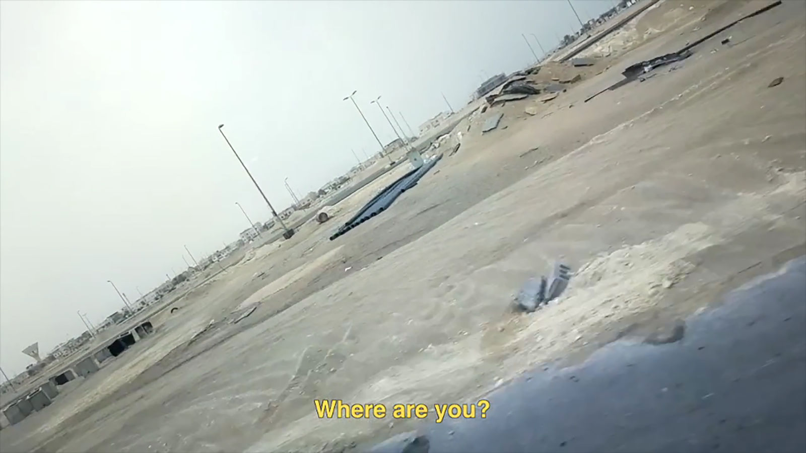 Sarah Abu Abdallah, The Salad Zone, 2013