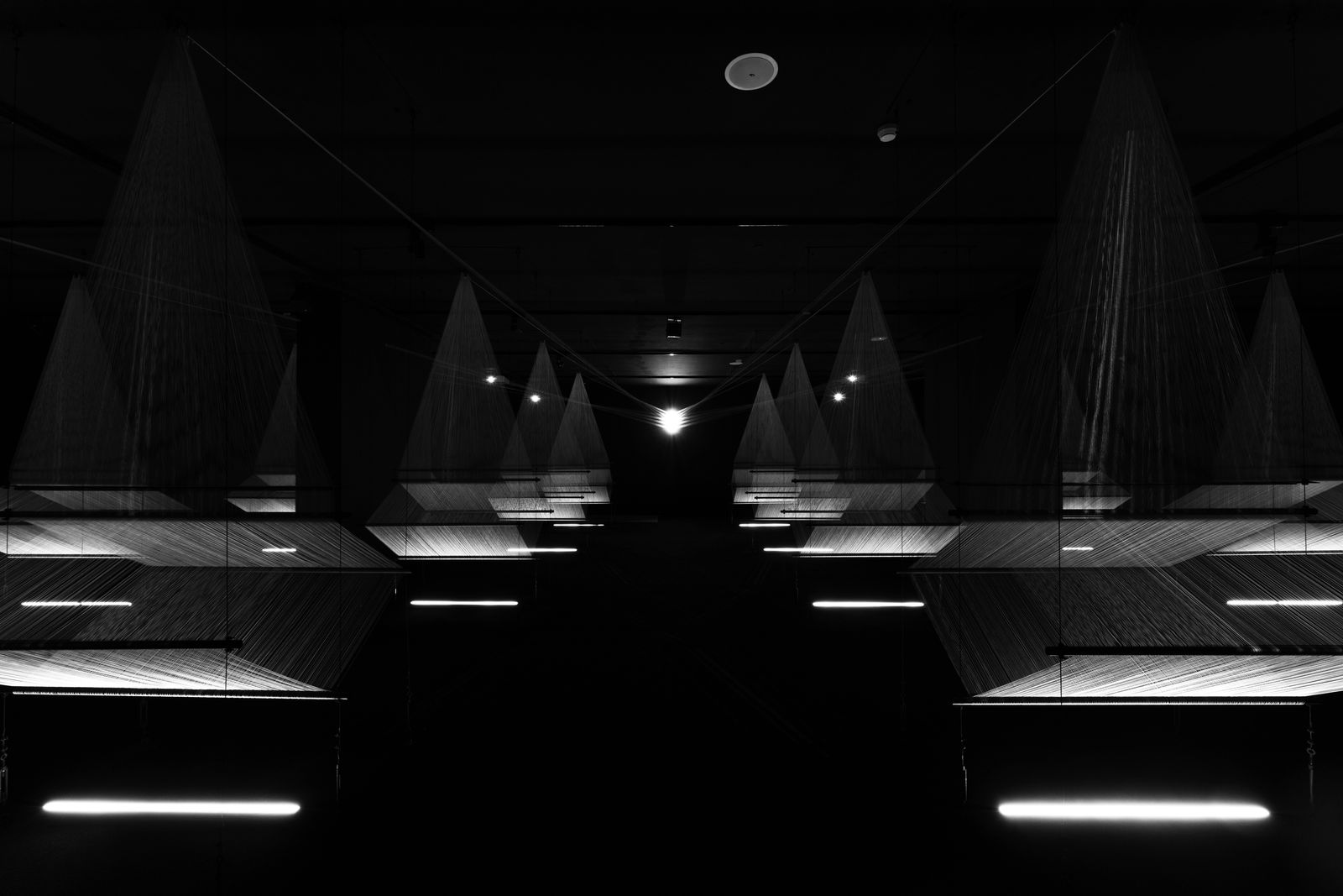 Muhannad Shono, Letters in Light, Lines We Write,, 2023