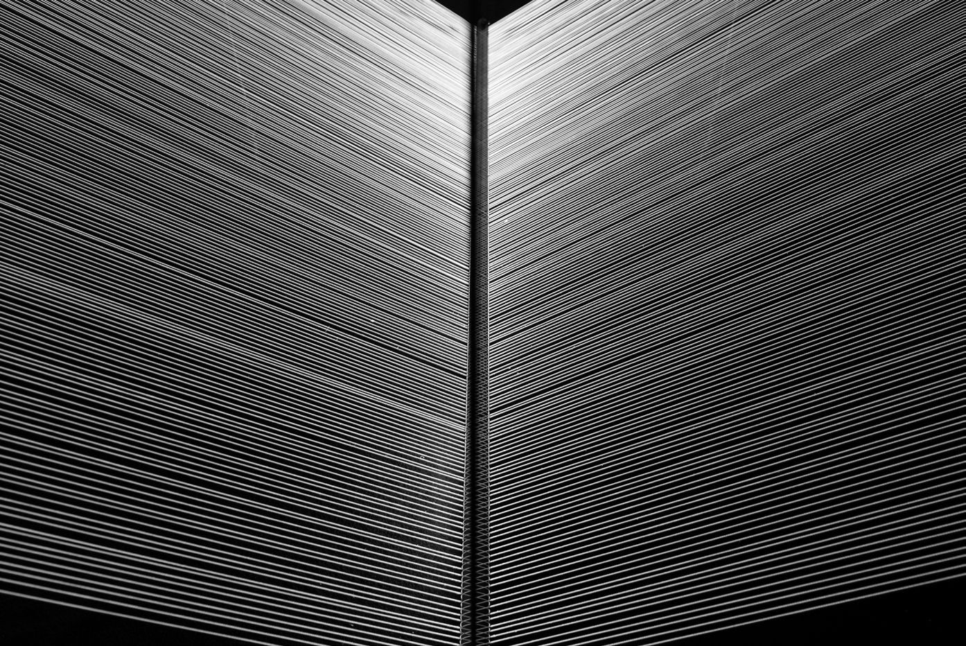 Muhannad Shono, Letters in Light, Lines We Write,, 2023