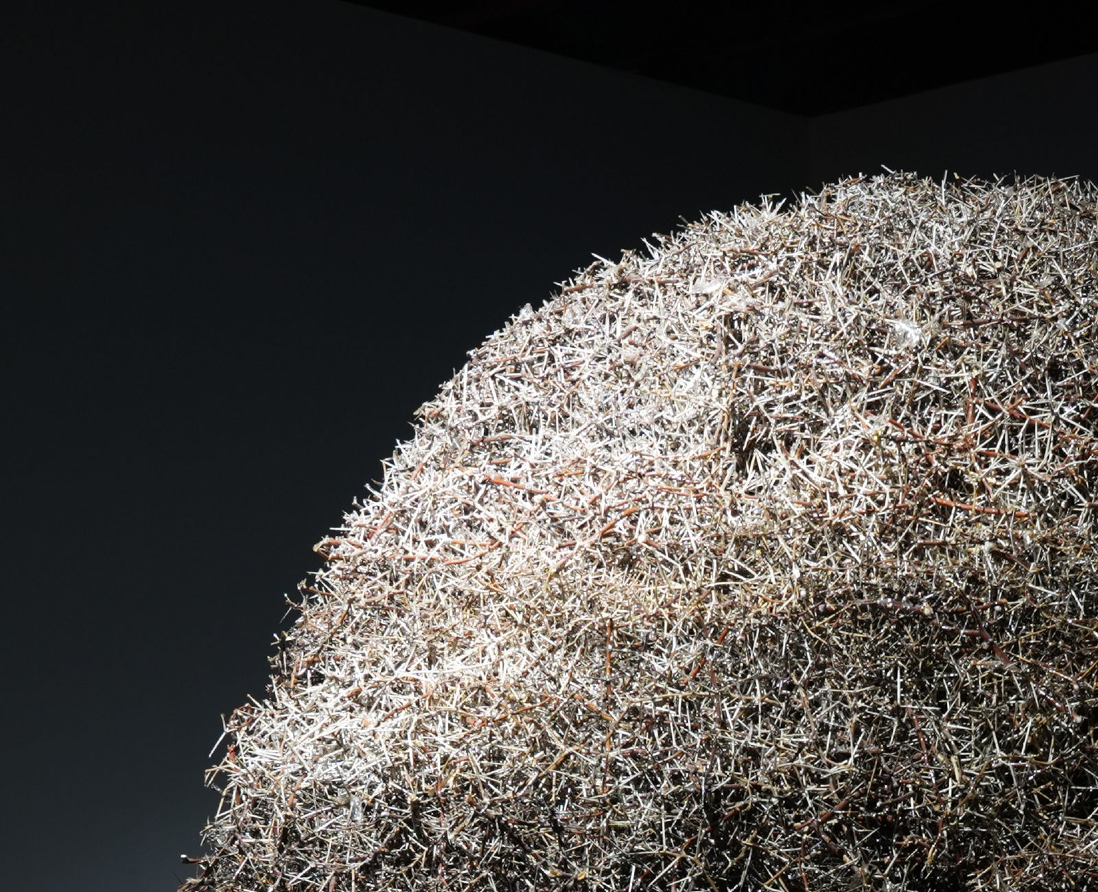 Zahrah Alghamdi, Supplication, 2022