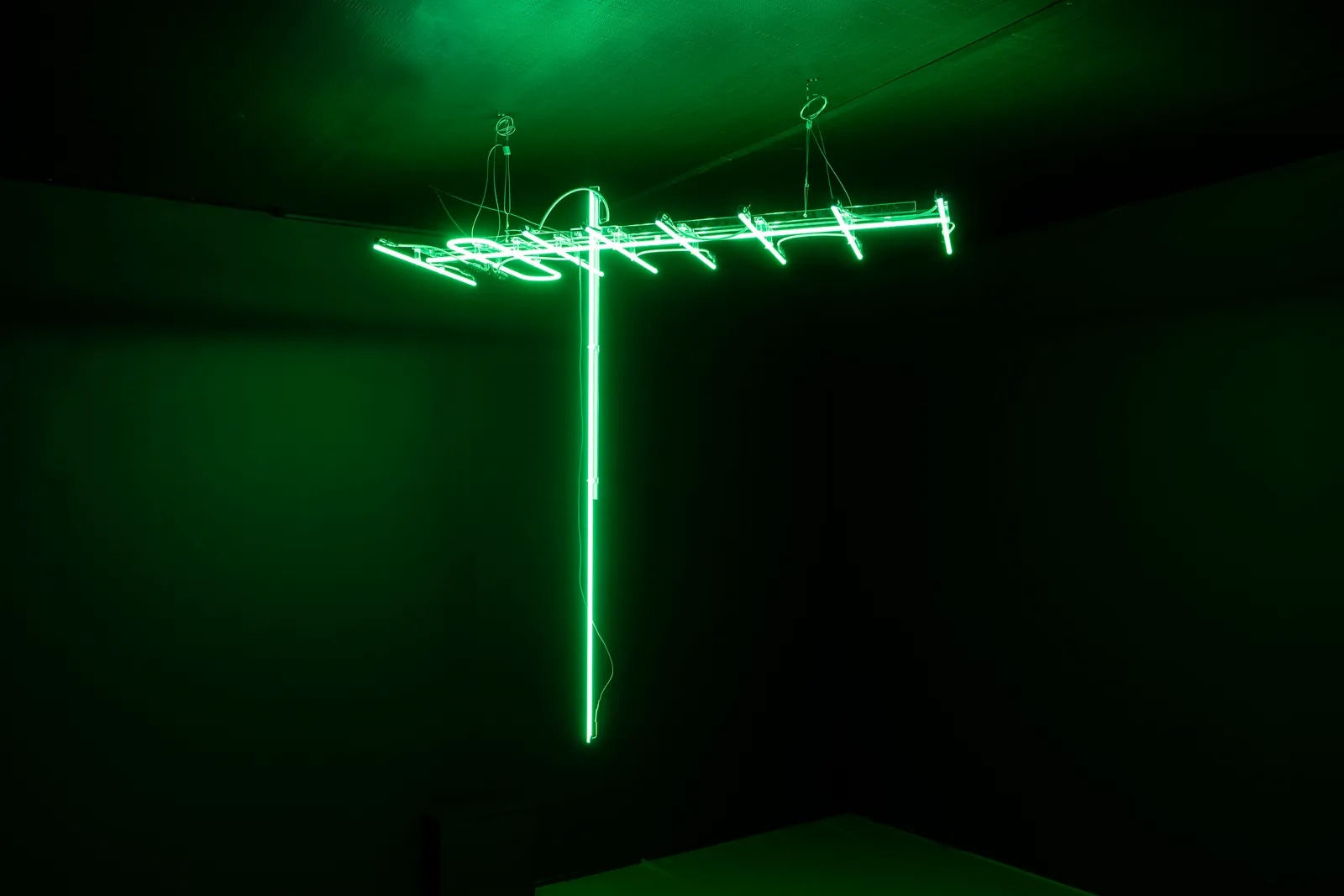 Dr. Ahmed Mater, Green Antenna, 2010