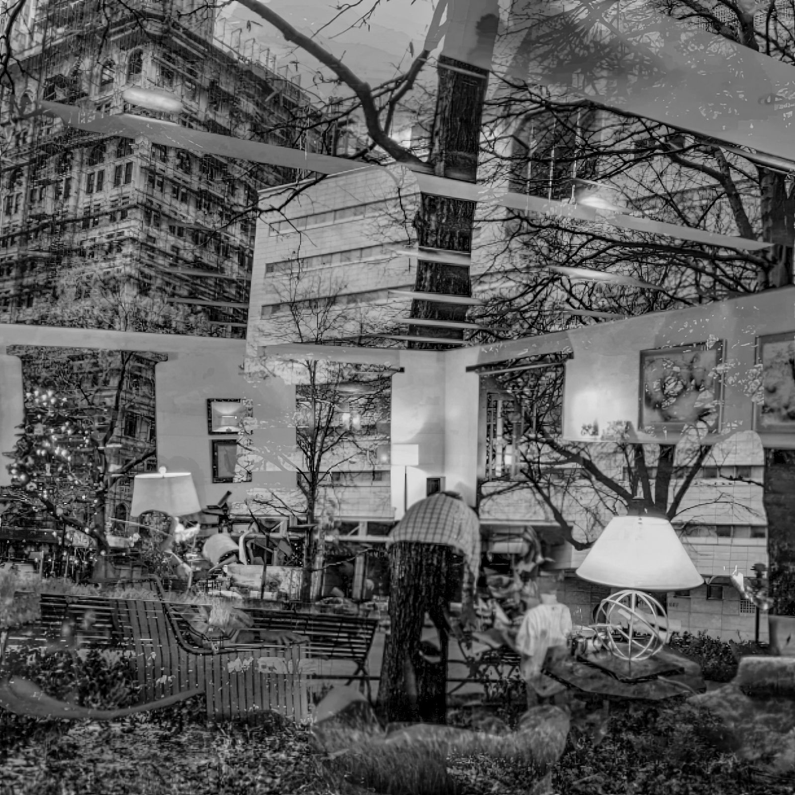 Brooks Williams, Obscured Living Stories, 2023